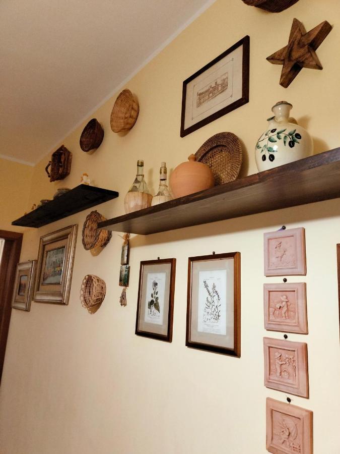 Sunnyside Accademia Livorno
