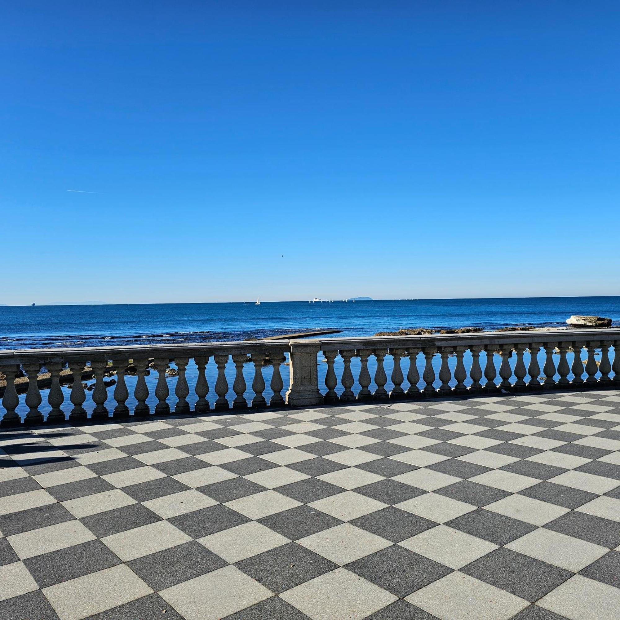 Sunnyside Accademia Livorno